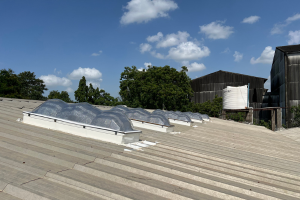 Read more about the article Is Harsh Light from Your Skylights Causing Problems?