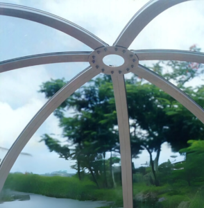 Read more about the article 12-Foot Dome at Jain Temple, USA